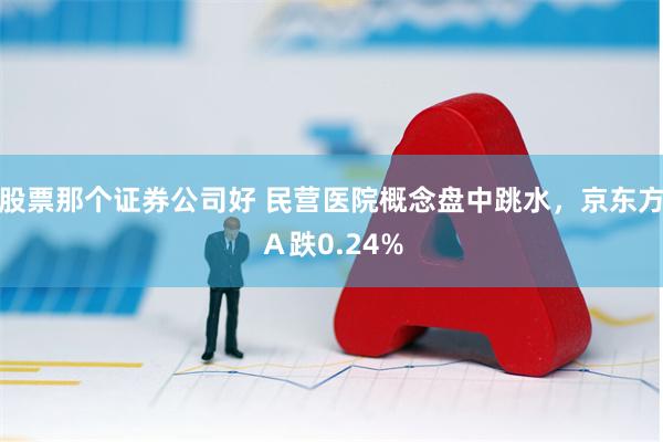 股票那个证券公司好 民营医院概念盘中跳水，京东方Ａ跌0.24%