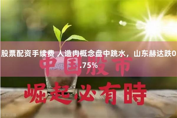 股票配资手续费 人造肉概念盘中跳水，山东赫达跌0.75%